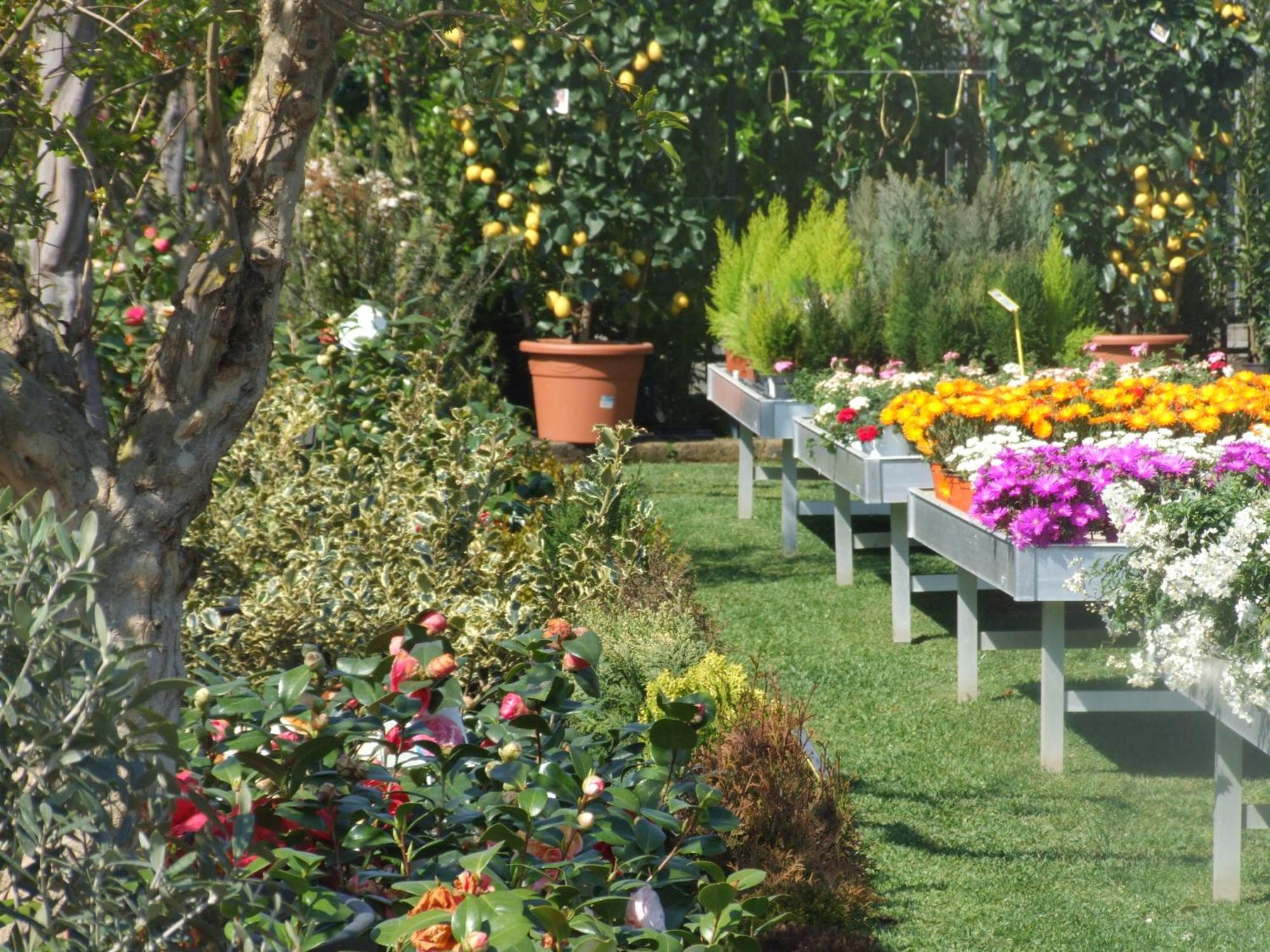 Residenza I Ciclamini Bed & Breakfast Rome Luaran gambar