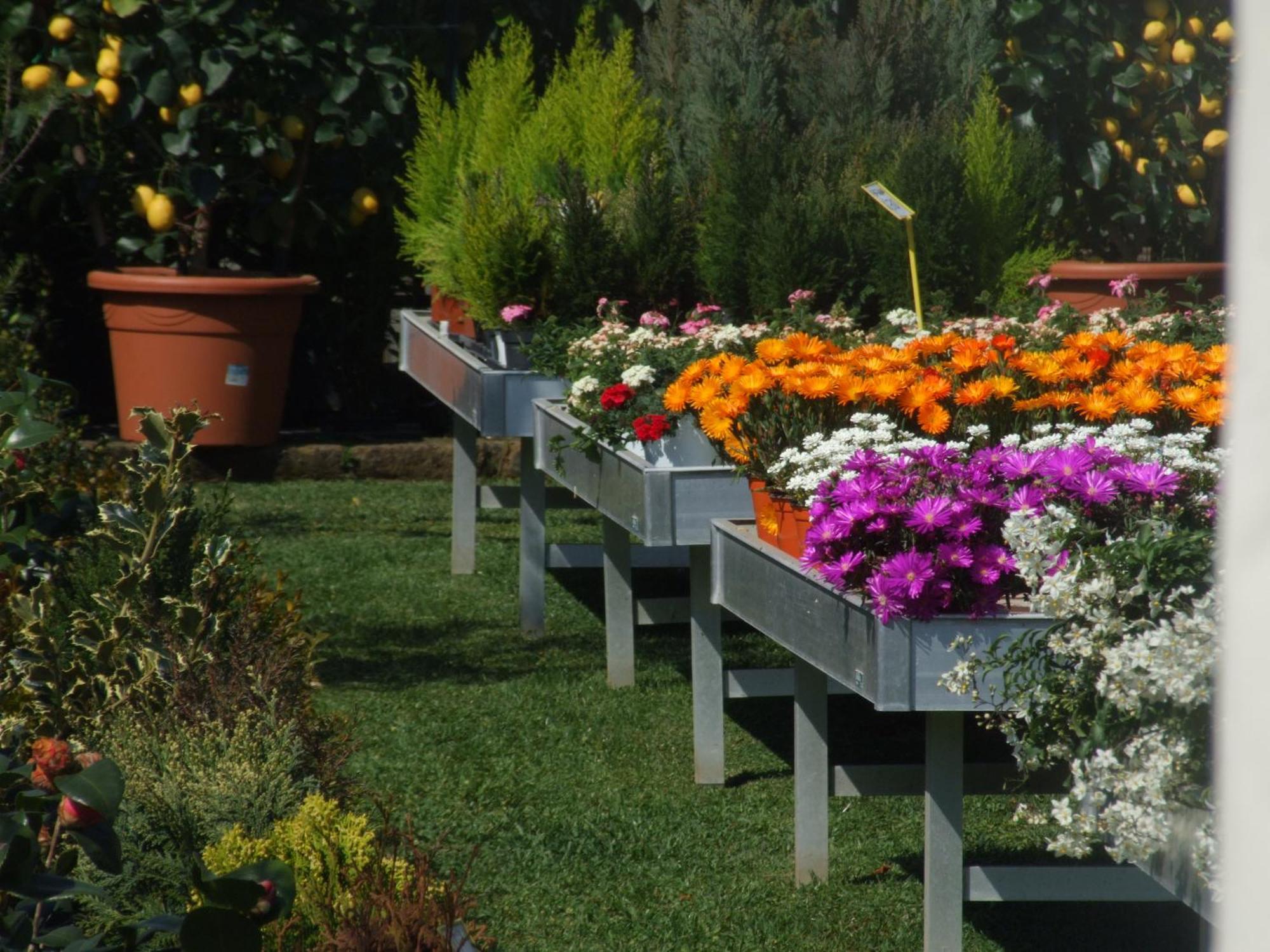 Residenza I Ciclamini Bed & Breakfast Rome Luaran gambar