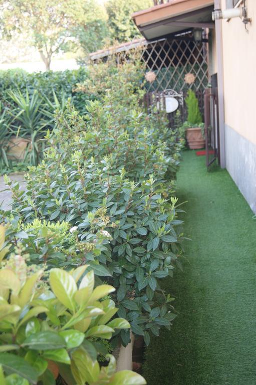 Residenza I Ciclamini Bed & Breakfast Rome Luaran gambar