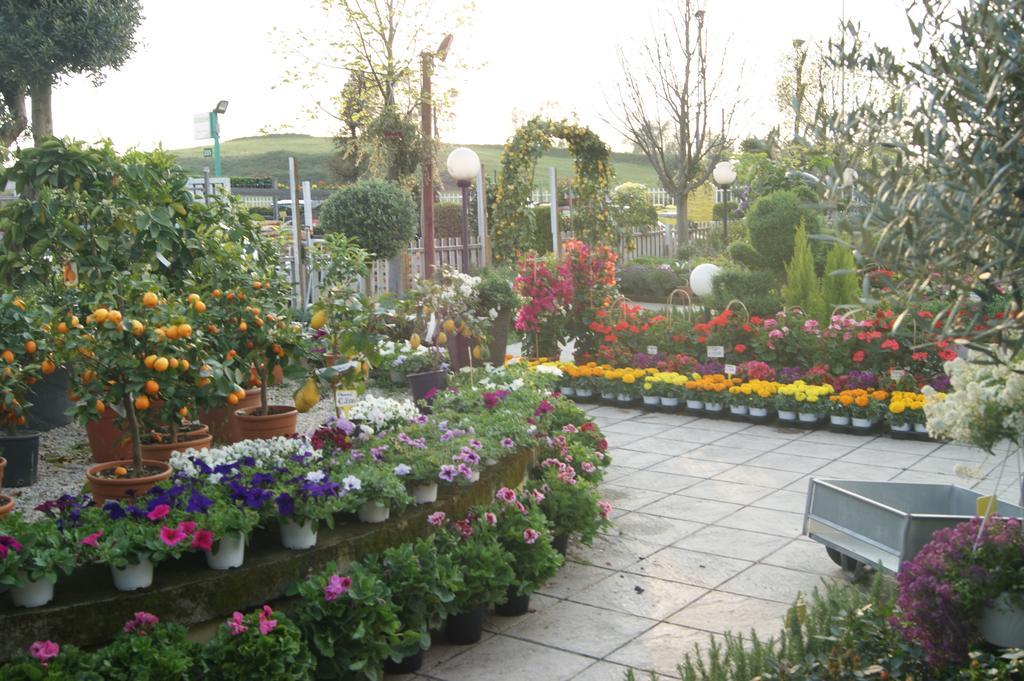 Residenza I Ciclamini Bed & Breakfast Rome Luaran gambar
